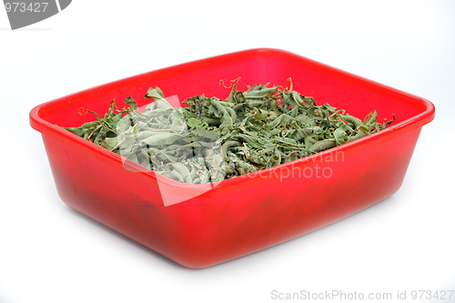 Image of The verbena herbal tea