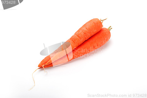Image of The red carrot