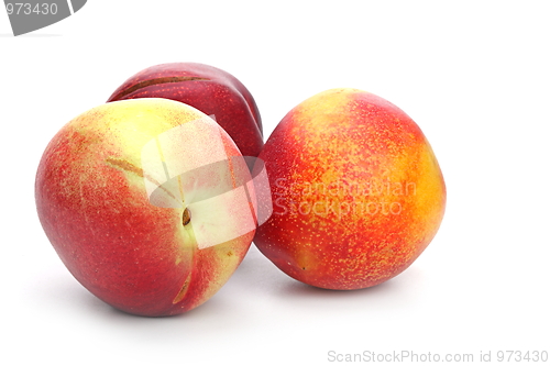 Image of The peach