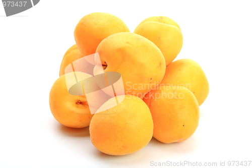 Image of The apricots