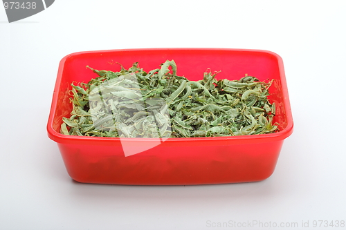 Image of The verbena herbal tea