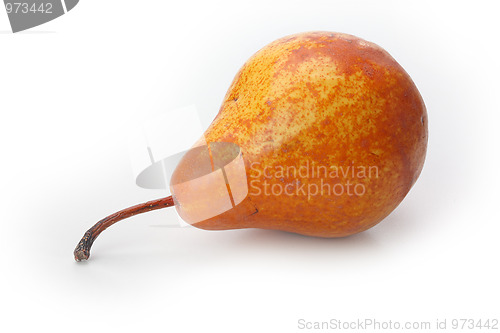 Image of The pear