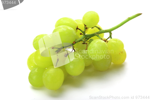 Image of Grapes isolated on white