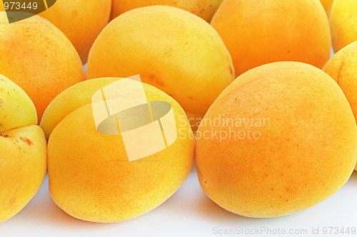 Image of The apricots