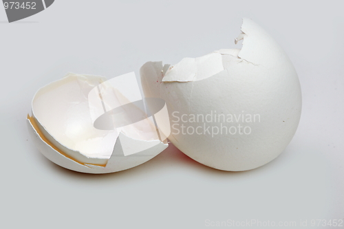 Image of The eggshell 