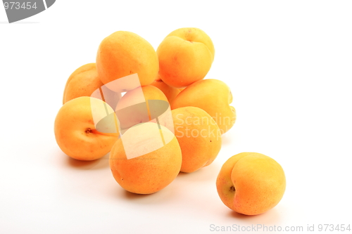 Image of The apricots