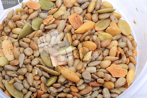 Image of The healthy additives