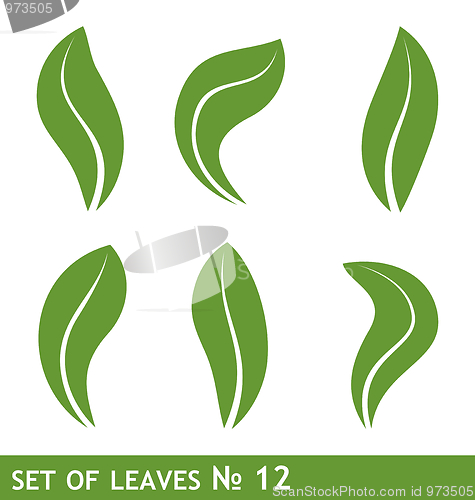 Image of Illustration of leaves set for design