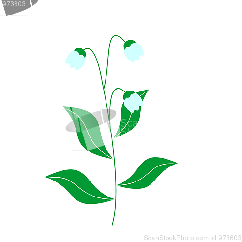 Image of Illustration of lily of the valley