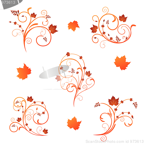 Image of Autumn floral design