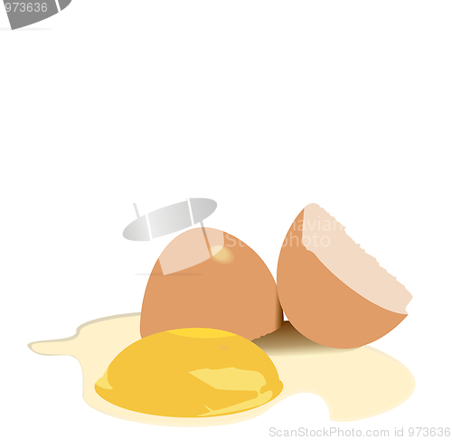 Image of Illustration broken egg