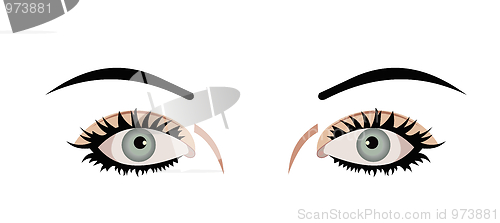 Image of Realistic illustration of eyes are isolated on white background