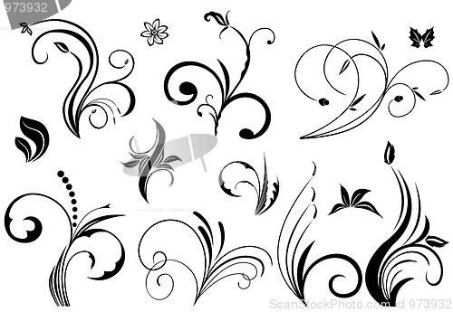 Image of Floral vector elements