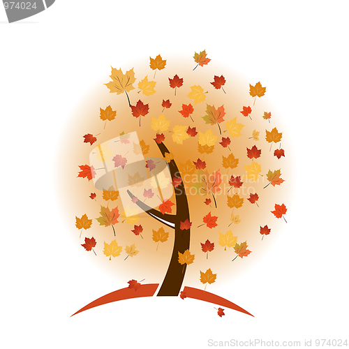 Image of Colorful autumn tree