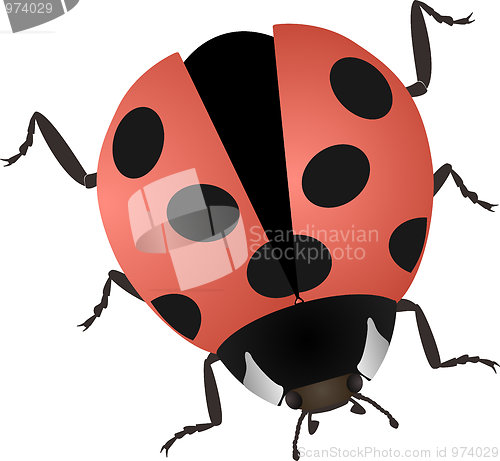 Image of  illustration of a ladybug isolated on white