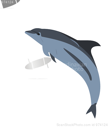 Image of Realistic illustration of a dolphin