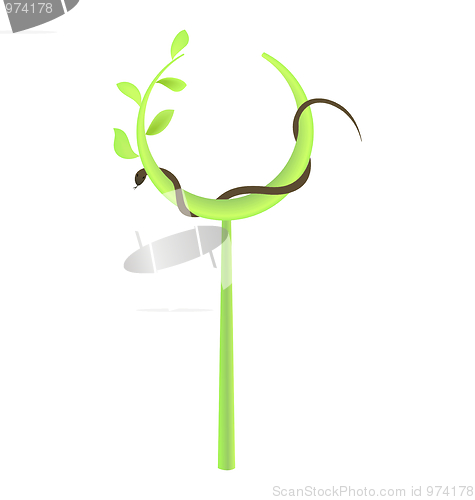 Image of Concept illustration of branch at green leaf and snake