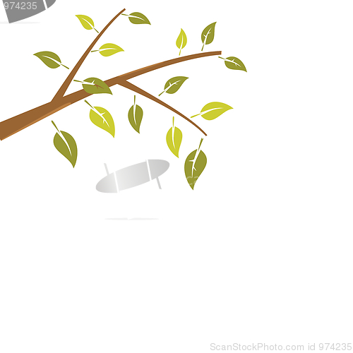 Image of Abstract branch tree is isolated on white background