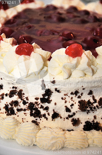 Image of Real cream cake