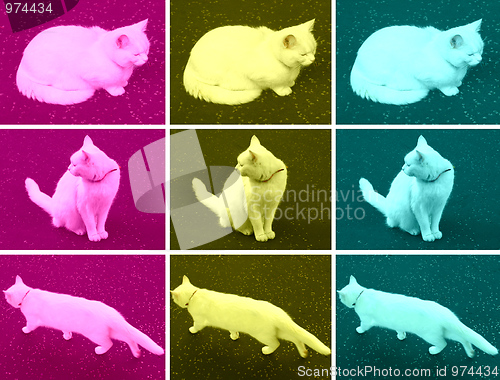 Image of Pop Art cat