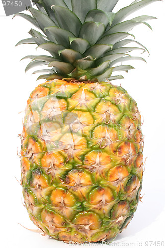 Image of Pineapple