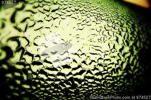 Image of Green drops of water - light from backside. Macro