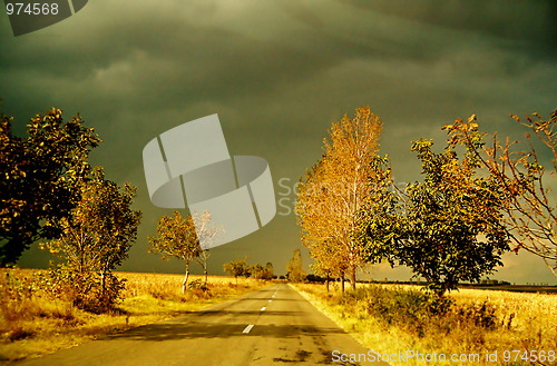 Image of In line road in autumn