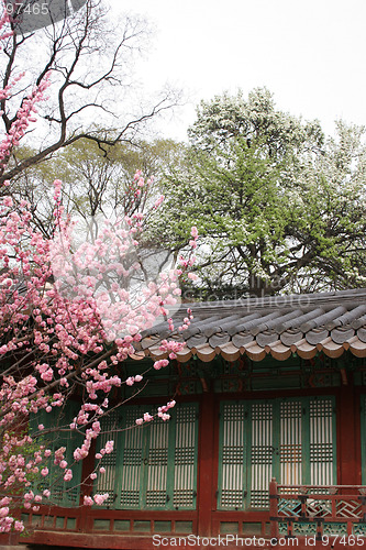 Image of Korean palace