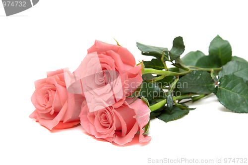 Image of Three roses