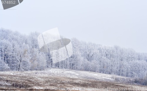 Image of Frosted hazy landscape