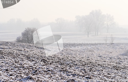 Image of Hazy winter landscape