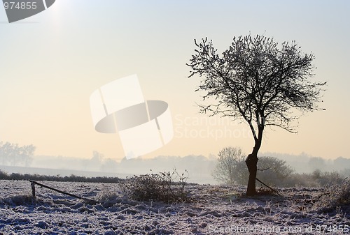 Image of Hazy winter landscape