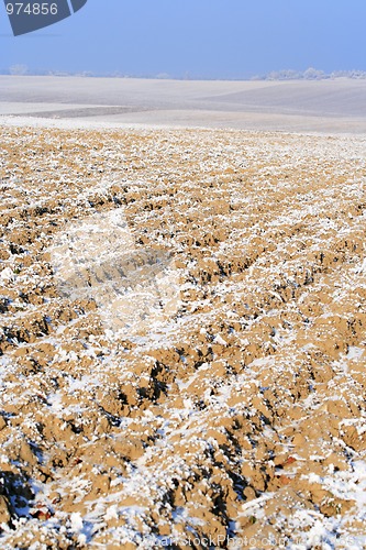 Image of Plowed field in winter
