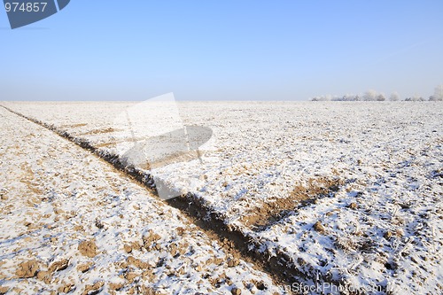 Image of Fields in winter
