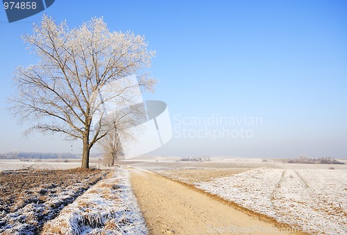 Image of Winter landscape