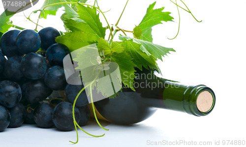 Image of bottle of red wine with grapeleaf and grape
