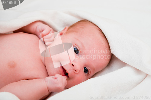 Image of baby after bath in towel. soft focus 