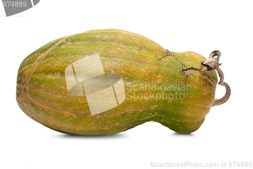 Image of Calabash pumpkin