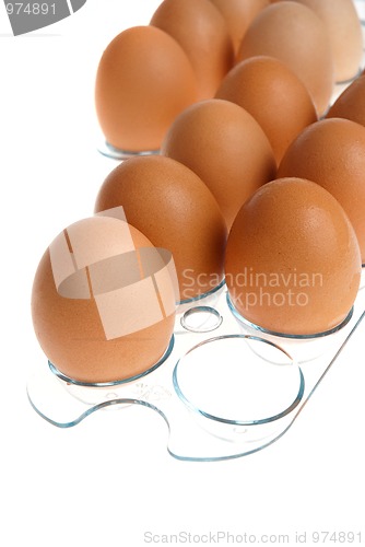 Image of Eggs