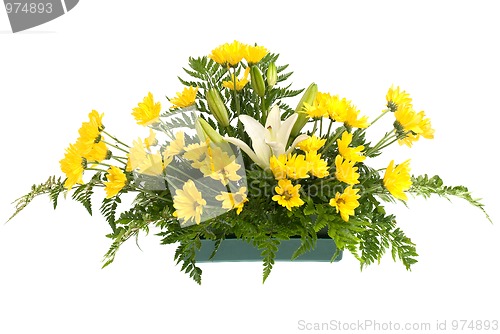 Image of Yellow daisy and white flowers arrangement 