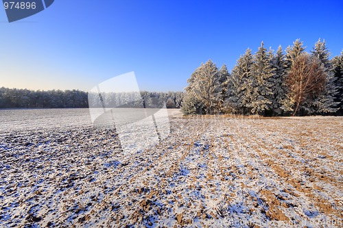 Image of Winter landscape