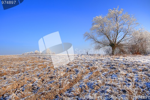 Image of Winter landscape