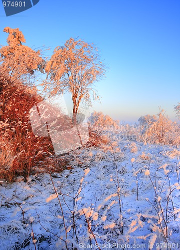 Image of Winter landscape