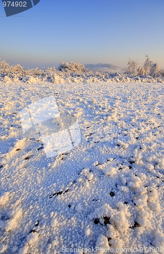 Image of Winter landscape