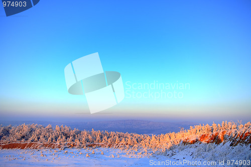 Image of Hazy winter landscape