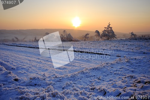 Image of Winter sunset