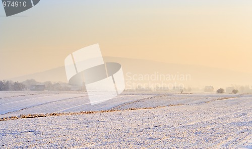 Image of Misty morning