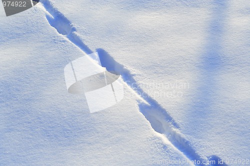 Image of Fresh snow with animal track