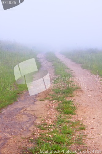 Image of Field road in fog