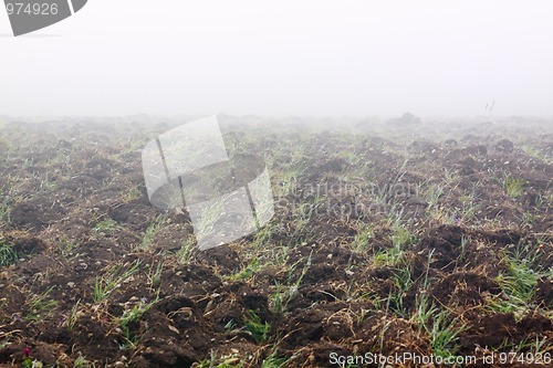Image of Ploughed field in fog
